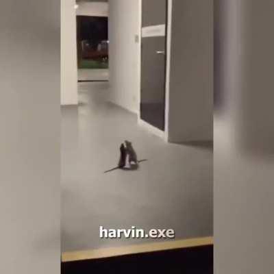 That was the last straw...