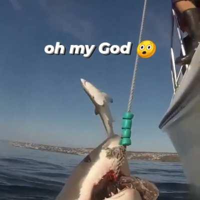 Big Dan trying to get a bite, while young Cassie is just messing around in the background