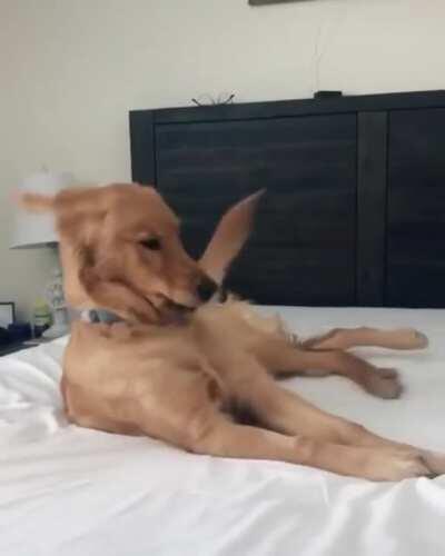 I said EGYPTIAN. COTTON. SHEETS. BRENDA!! What are we, Barbarians?