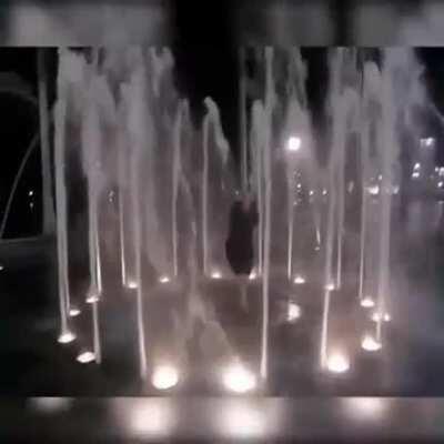 Nice lighting for a photo