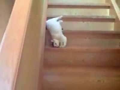 Going down the stairs