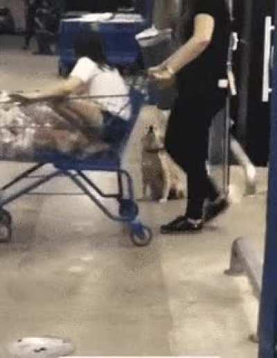 Would have stopped even without the little wave