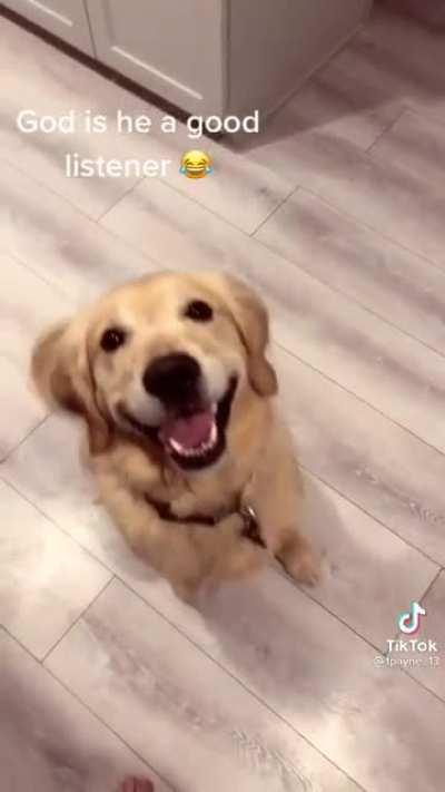 turn on the sound! credit: tiktok/ tpayne_13