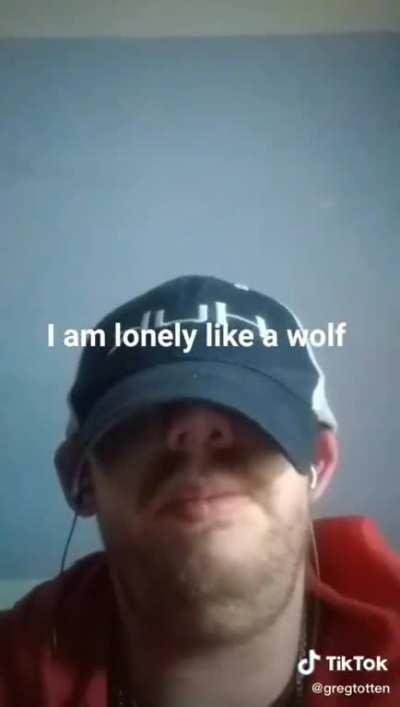 The lone wolf🥶