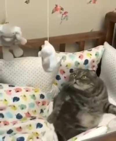 Have you seen this spinny thing? Holy shit.