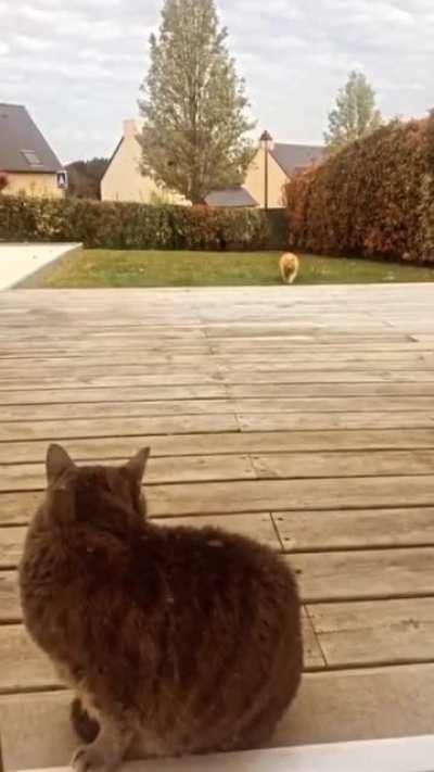 Open the door right now!!!