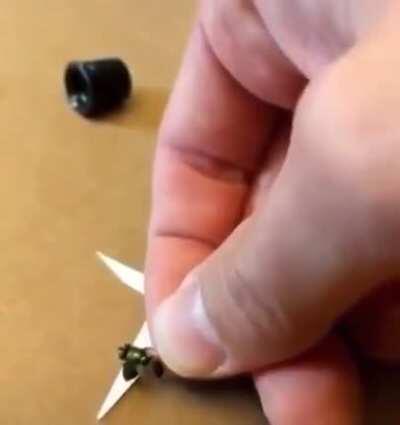 Freezing flies to power a paper airplane