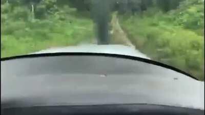 Short landing in Brazil