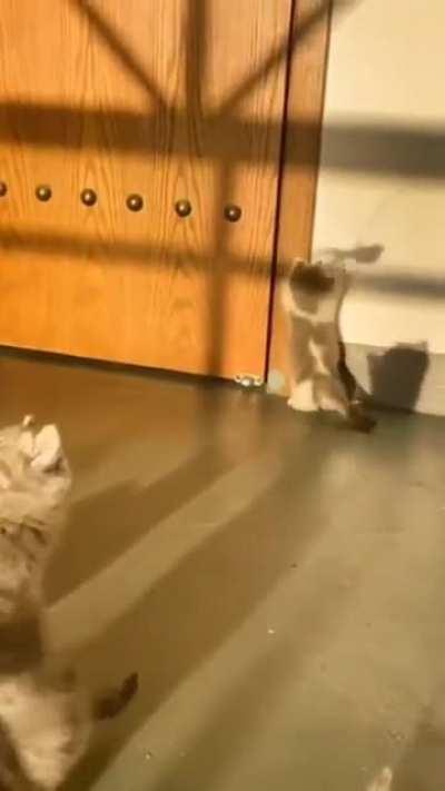 I chase every LeBlanc clone