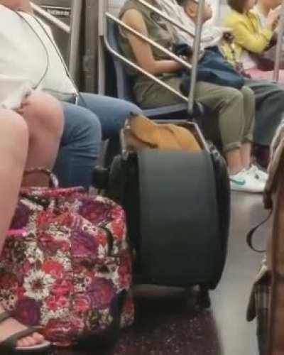 When you only pack the essentials one.