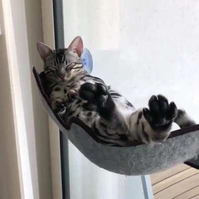 Cat window hammock
