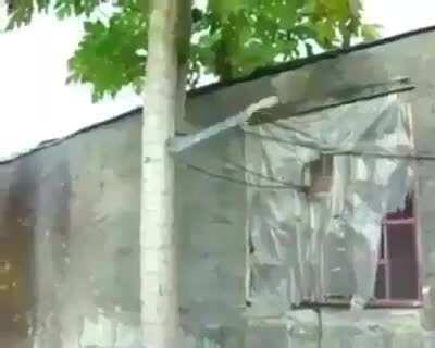 trAta de golPearme SI es quE puEdes 😈👊