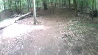 Bergabfahrt mit meinen EBike am Hülser Berg.