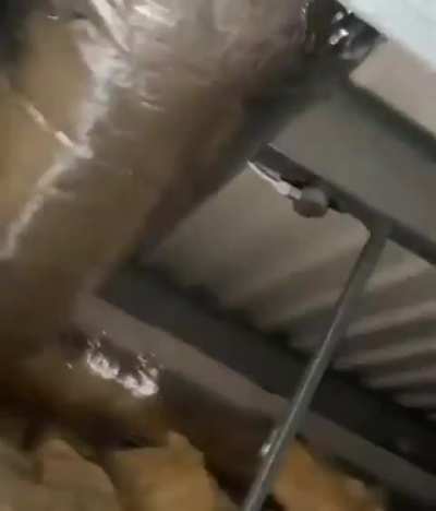 Yuor school may have: damn asbestos