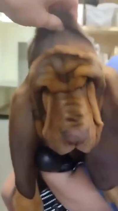 The shock in his eyes