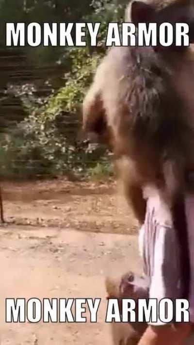 Monkey armor: +20 defense, -1 movement speed, +10 monke