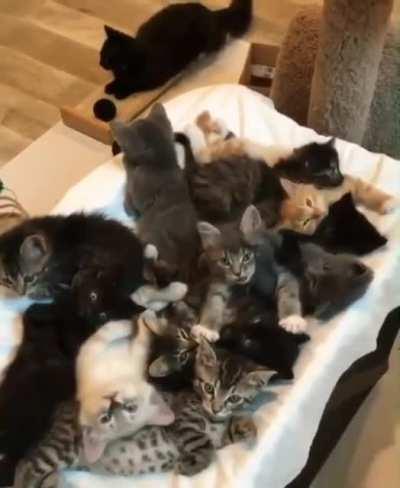 Stack Overflow. What now?