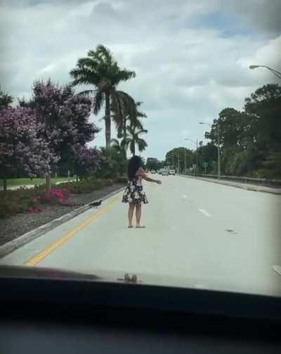 Woman helps duck family cross street