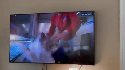 Not happy about the dolphins winning I guess.