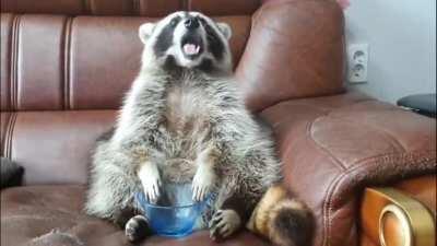 Does mental pain count here?