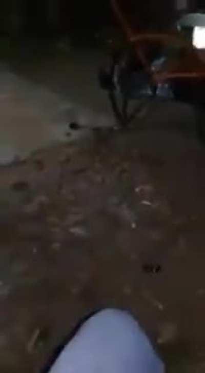 Se la rifo mi mariachi de 20$ la hora