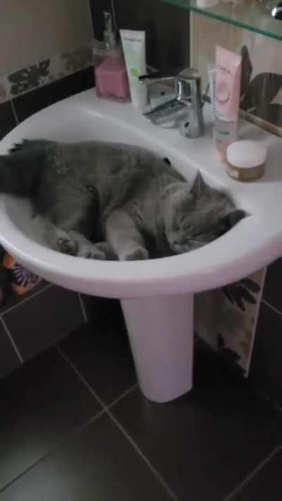 База, пшш, прием [ОС]