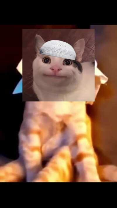 Halal 😺😺😺 Cat® Bruh nigga Free Punjabi Sex No virus hindi audio dewar bhabhi 😅😅😅😅😅👍👍👍😍😍😲😲😲