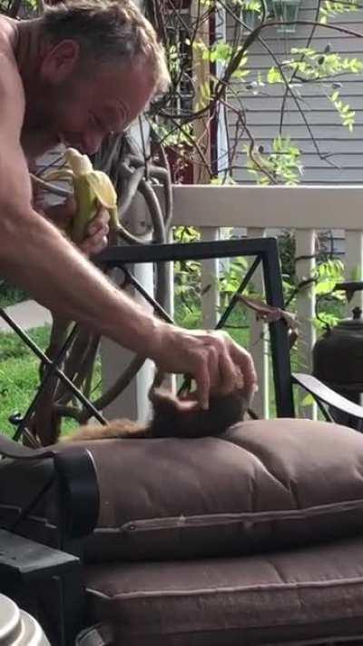 This retired man has taken care of his squirrel for years now, now it comes back every day for snacks, play and fights