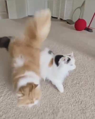 I will do what she is doing