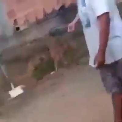 Does cutout scream count?