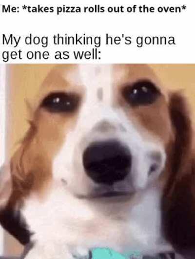 Sorry to disappoint you my man