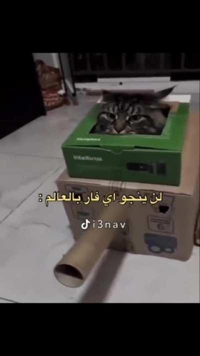 ESTILOZAP - Video #1370