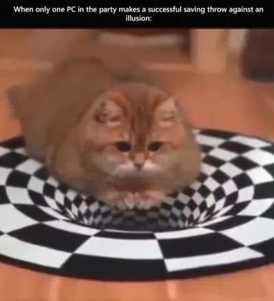 Cats have a racial saving throw against illusions.