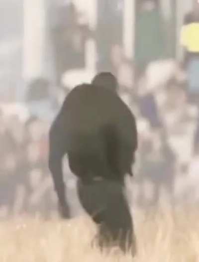 ye dance in the Haiko concert