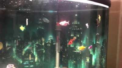An update to my Bioshock theme fish tank! It’s got more fish now 🐟🐠🐡