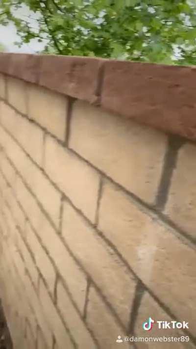 My underground people need me