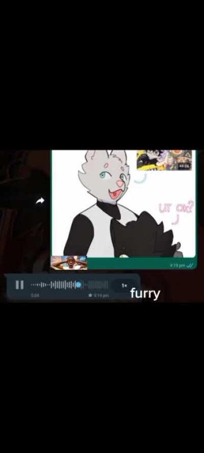 furryð¤¯irl