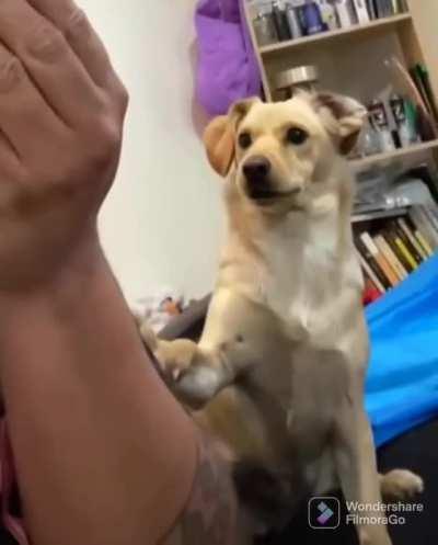 Sorry, I was overreacted