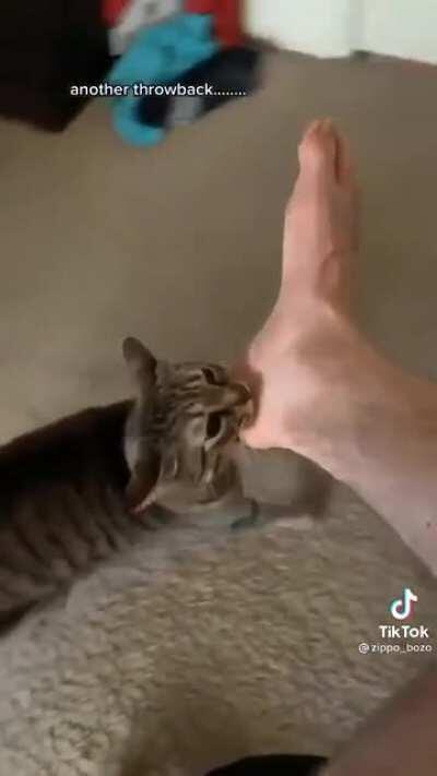 Foot fetish.