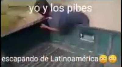 BeelcitosMemes - Video #3481