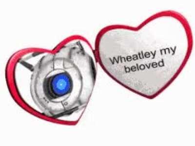 Absolutely Loved This Little Moron.