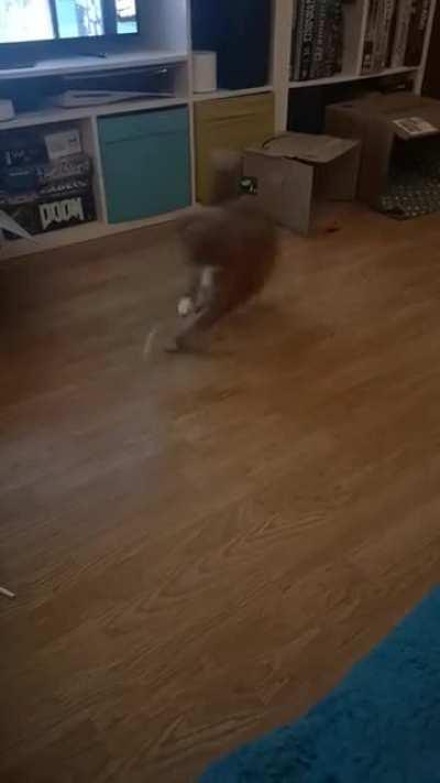 They almost got him...