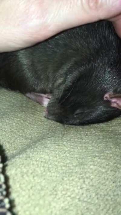 Sweet dreams are made of this...