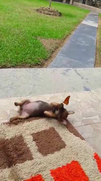 This epic battle deserves to be everywhere