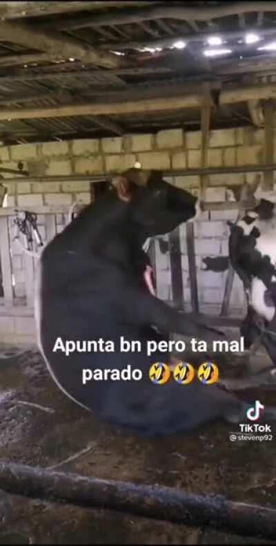 Jajajajaja cuidao q resbala😎