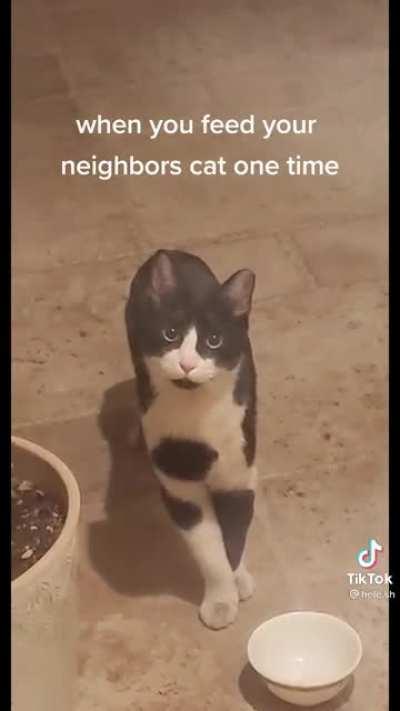 Only fed the cat one time...