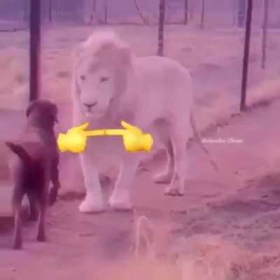 Cuando hay nuevo capítulo 🥺🥺🥺😳😳😳