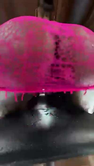 let's bet your face won't survive my fat black ass