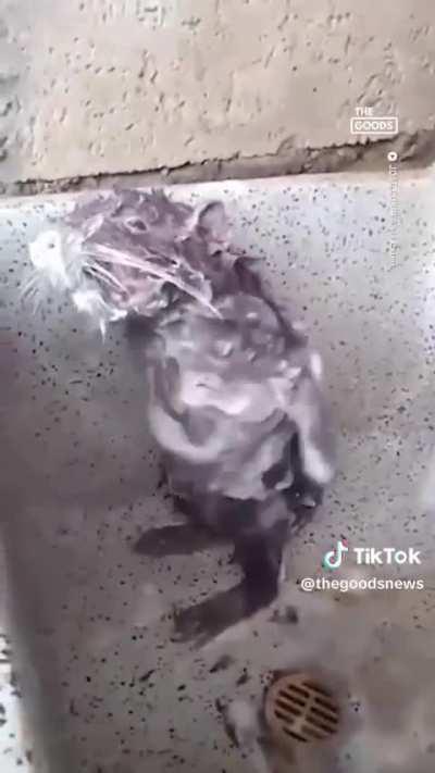 Bro just want's to shower