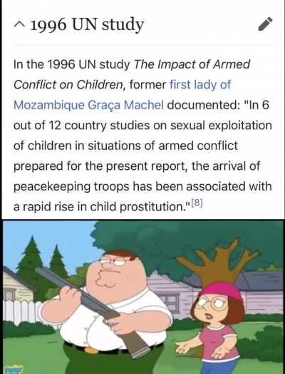 Some “peacekeepers” they are 🙄